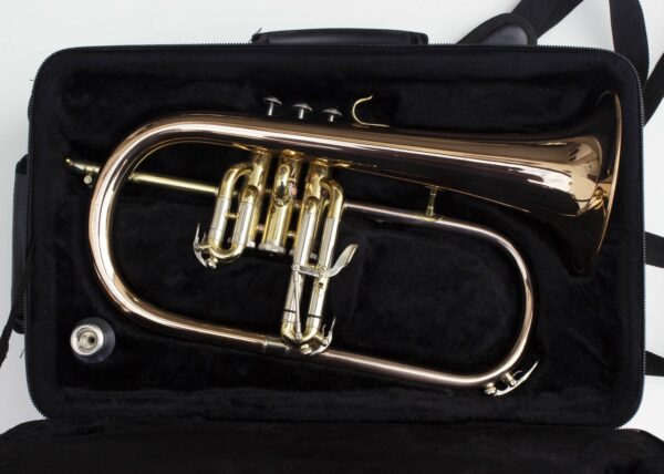 Bugle Roy-benson FH-302G [Fourni avec embouchure et étui sac à dos]