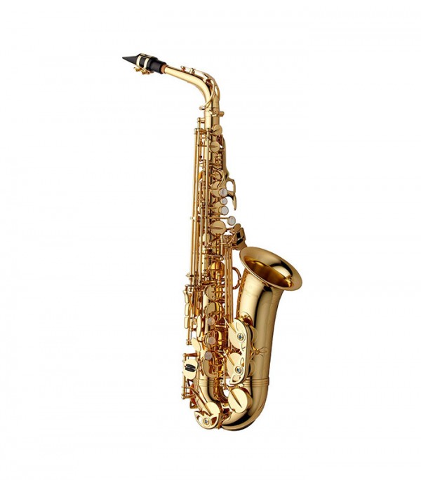 YANAGISAWA SAXOPHONE ALTO A-W01