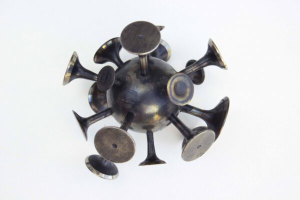 C O V I D 19 (variant 18)