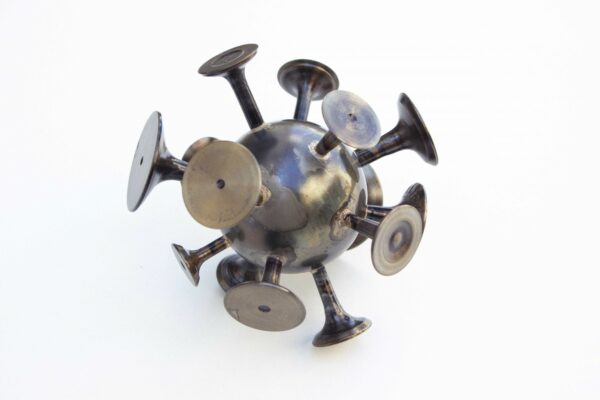 C O V I D 19 (variant 14)