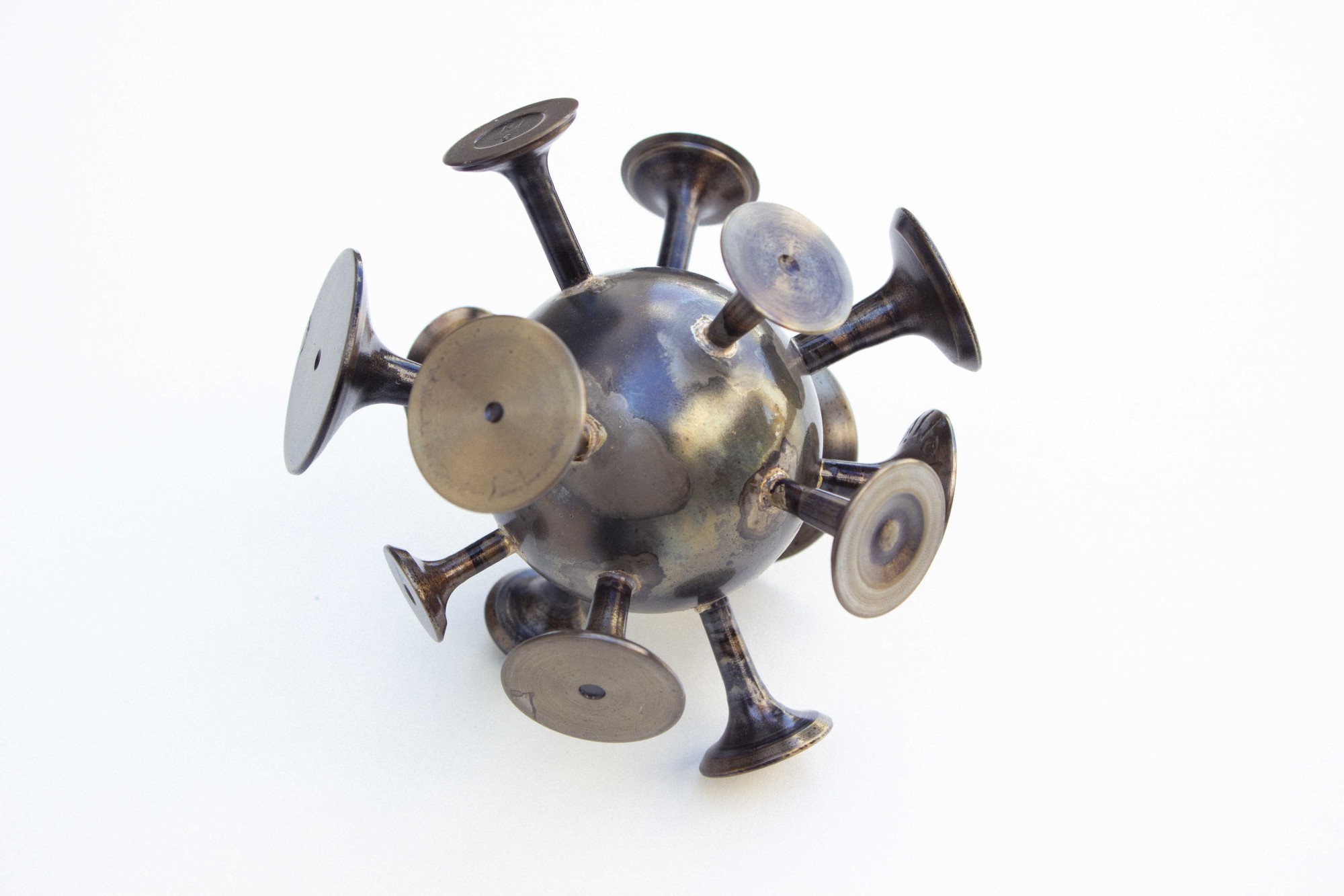 C O V I D 19 (variant 14)