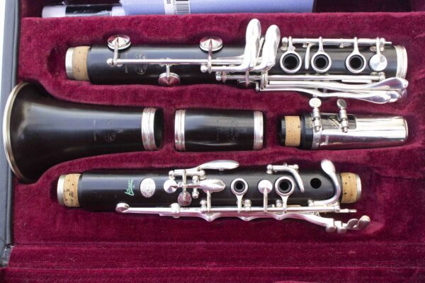 clarinette BUFFET CRAMPON RC PRESTIGE ''GREEN LINE'' BC1108GL-2 [+ ETUI + BEC VANDOREN B45]