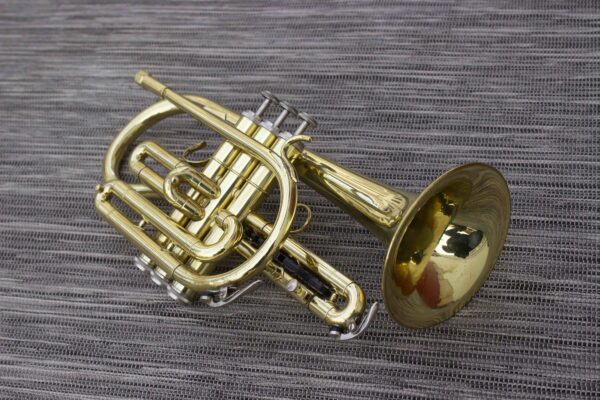 GETZEN ETERNA CORNET A PISTONS [made in USA, parfait usage pro, finition vernis]