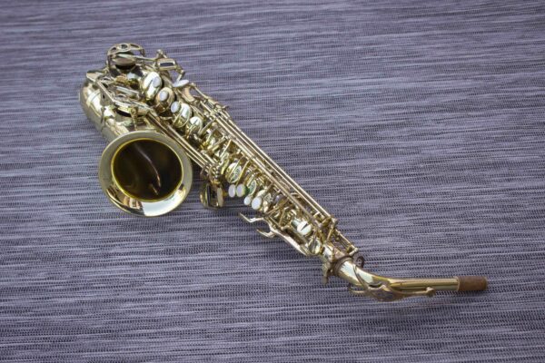 SELMER SÉRIE 3 SAXOPHONE ALTO [finition vernis, révision OK + étui GATOR et bec SELMER ]